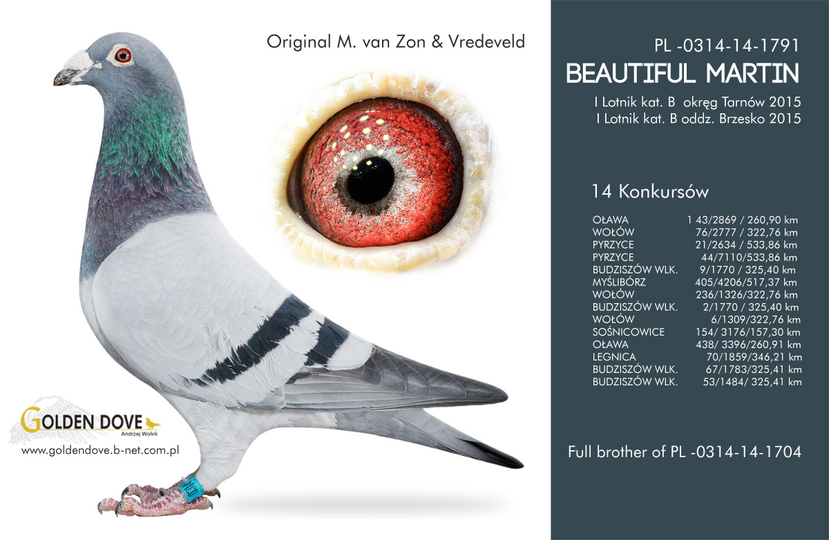 beautyv2